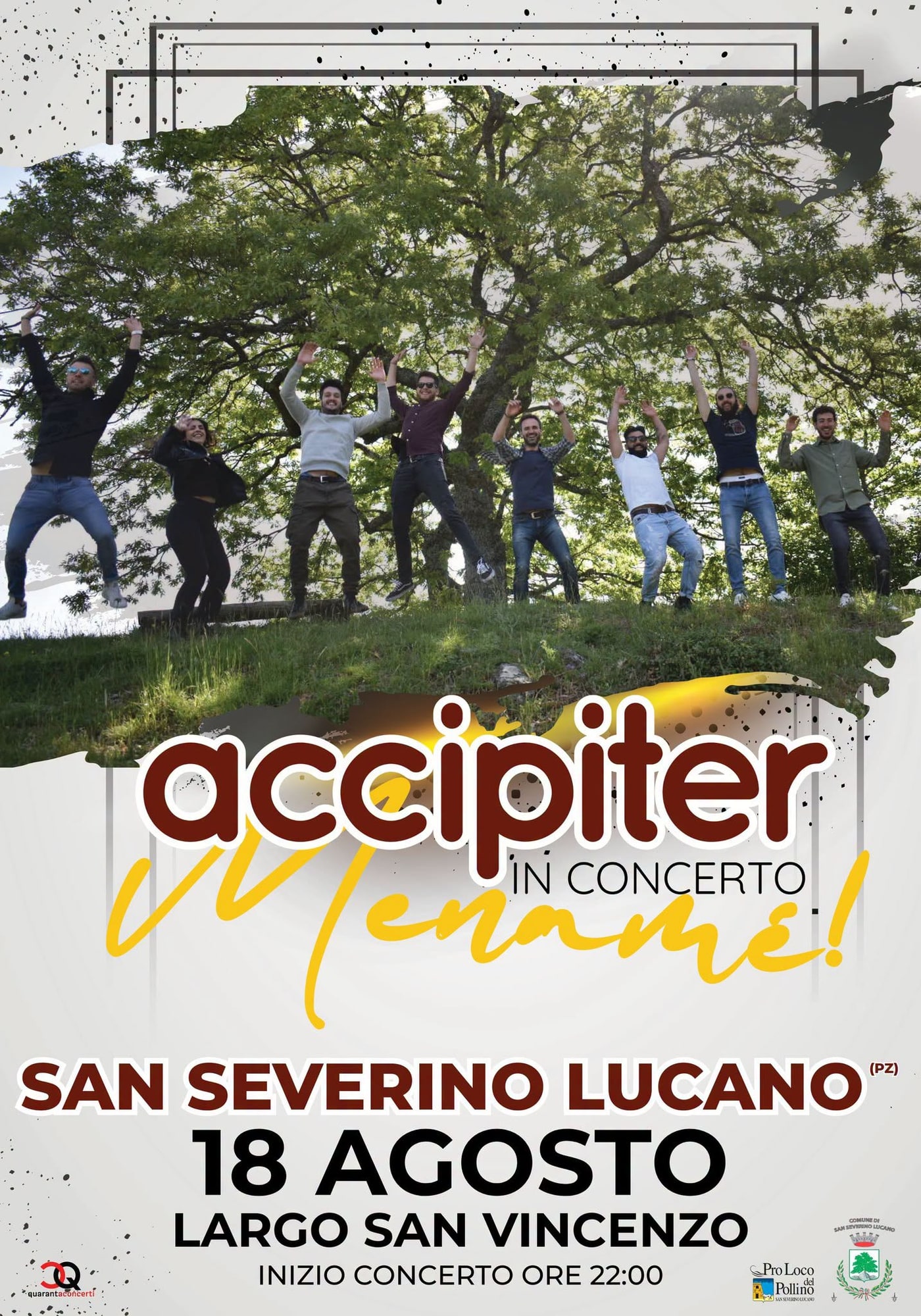 Locandina di accipiter in concerto - Menamé!